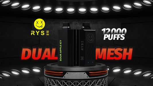 RYS 12000 puffs dual mesh disposables