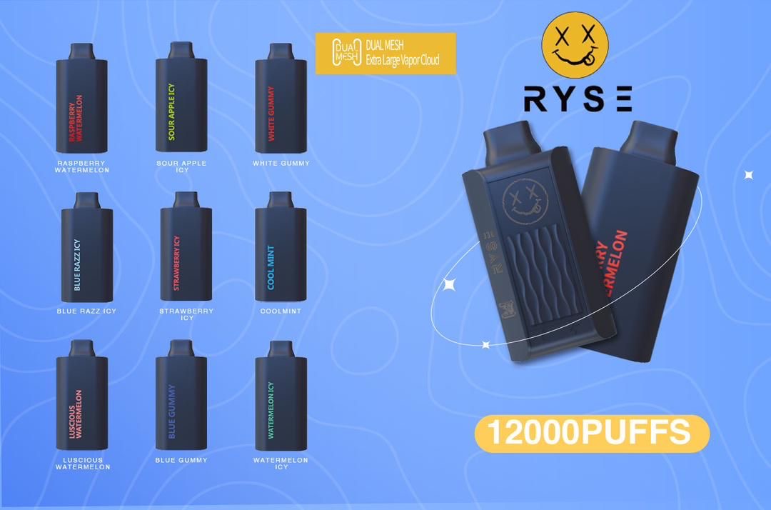 RYS 12000 puffs dual mesh disposables